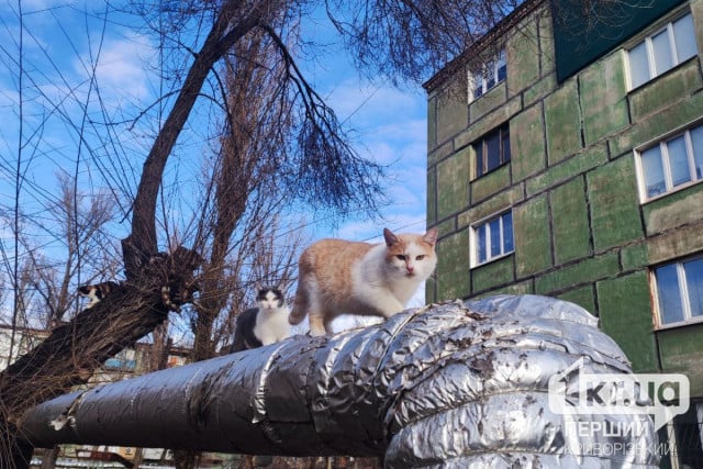 10 березня у Кривому Розі продовжують відновлювати опалення: адреси