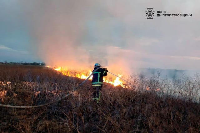 Криворожан предупреждают: во время военного положения поджог сухостоя могут рассматривать как диверсию