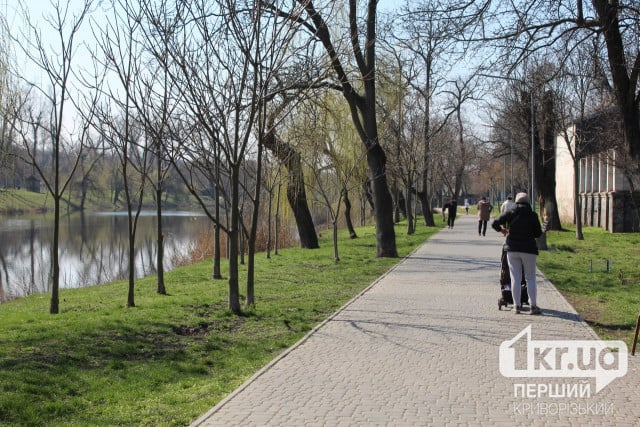 Фиалка, Ромашка, Тюльпан: какие «весенние фамилии» зарегистрированы в Кривом Роге