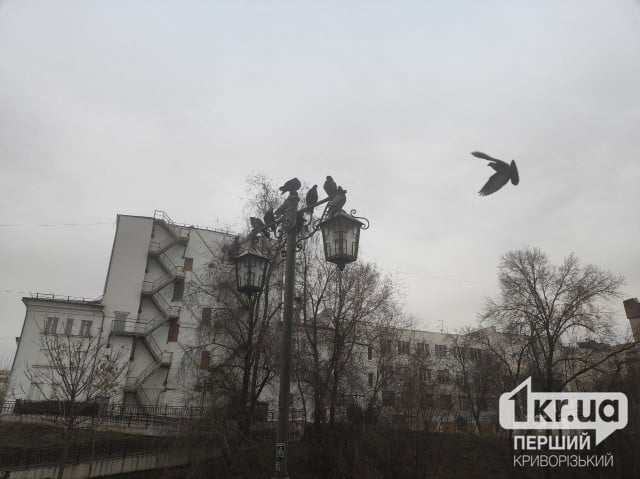 В Кривом Роге продолжаются неблагоприятные метеоусловия: рекомендации