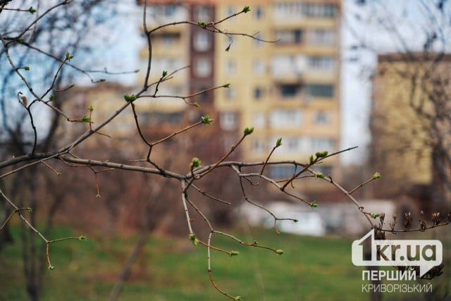 Якою буде погода в Кривому Розі 15 березня