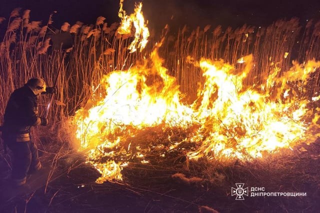 Рятувальники ліквідували 65 пожеж на відкритих територіях у Дніпропетровській області