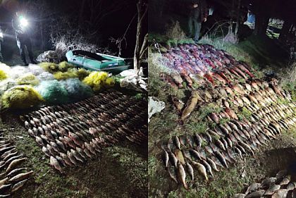 На Криворожье незаконно наловили 386 килограммов рыбы на почти 1 миллион гривен убытков