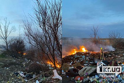 Возле озера в Долгинцевском районе Кривого Рога горел камыш