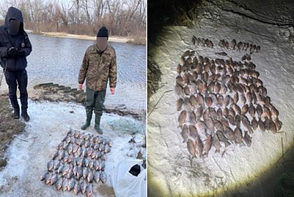 В течение февраля рыбные запасы Днепропетровщины понесли более 500 тысяч гривен убытков