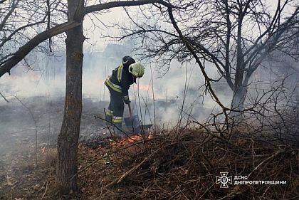 За тиждень 21% пожеж Дніпропетровщини сталися на Криворіжжі