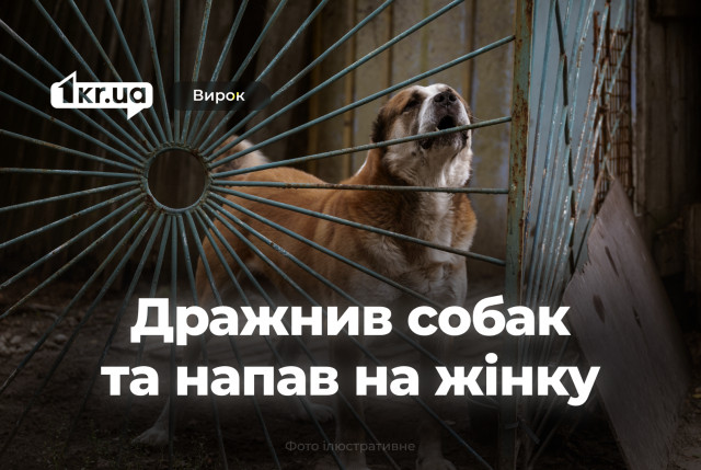 Криворожанин провоцировал собак на агрессию и напал на их владелицу — что решил суд Криворожанин провоцировал собак на агрессию и напал на их владелицу — что решил суд