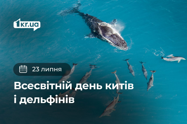 23 июля — Всемирный день китов и дельфинов