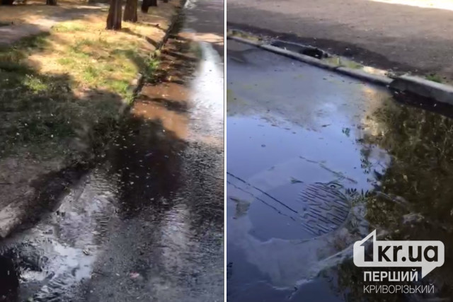 У Тернівському районі Кривого Рогу вулицею тиждень тече питна вода У Тернівському районі Кривого Рогу вулицею тиждень тече питна вода