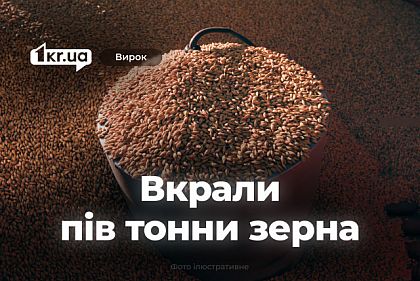 Суд вынес приговор жителю Криворожья, который с сообщниками украл кабели и зерно Суд вынес приговор жителю Криворожья, который с сообщниками украл кабели и зерно