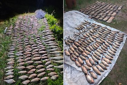 Ущерб для рыбных ресурсов Днепропетровщины во время нереста — сумма в миллионах