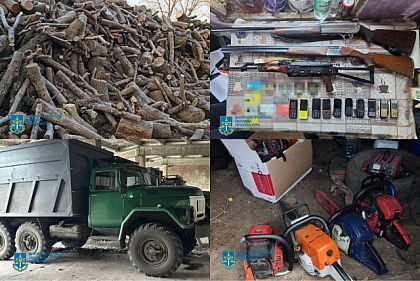 В Днепре будут судить две преступные организации за незаконную вырубку леса