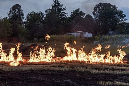 За тиждень на Криворіжжі найбільше пожеж зафіксували в екосистемах