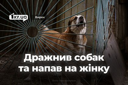 Криворожанин провоцировал собак на агрессию и напал на их владелицу — что решил суд Криворожанин провоцировал собак на агрессию и напал на их владелицу — что решил суд