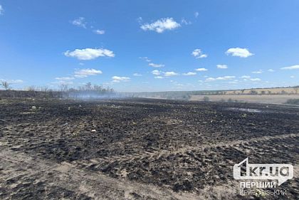 На Криворіжжі вогонь випалив поле пшениці