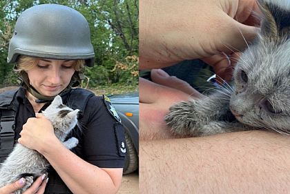 Полицейская спасла котенка из-под завалов после обстрела Кривого Рога