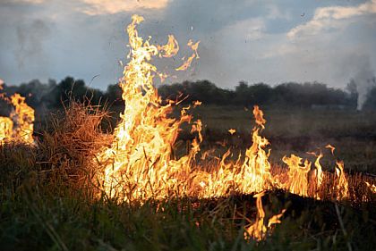 У Кривому Розі продовжили термін дії надзвичайної пожежної небезпеки