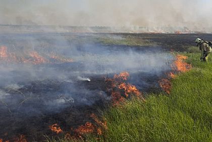 За тиждень на Криворіжжі збільшилась кількість пожеж в екосистемах
