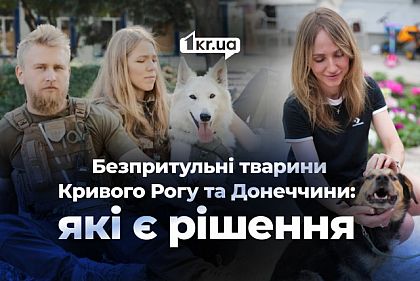 Решение для бездомных животных в Кривом Роге и Донецкой области: волонтерские инициативы, дающие шанс на жизнь во время войны Решение для бездомных животных в Кривом Роге и Донецкой области: волонтерские инициативы, дающие шанс на жизнь во время войны
