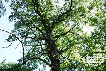 Прогноз погоды на 9 июля в Кривом Роге