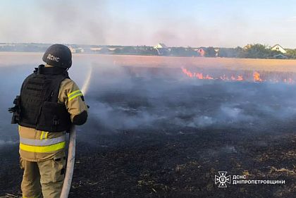 Сколько пожаров произошло в экосистемах Днепропетровщины за сутки