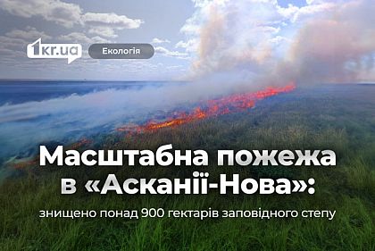 «Аскания-Нова» в огне: уничтожено более 900 гектаров заповедной степи «Аскания-Нова» в огне: уничтожено более 900 гектаров заповедной степи