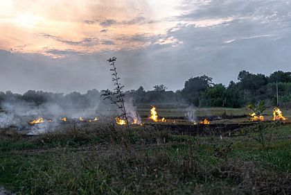 Надзвичайна пожежна небезпека у Кривому Розі триватиме довше за попередні прогнози