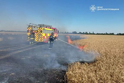 На Днепропетровщине огонь уничтожил более 40 гектаров экосистем за сутки