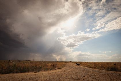 Протягом 17 липня у Кривому Розі очікуються небезпечні метеорологічні явища