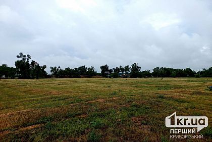 Миллионы гривен за самовольное пользование землей оплатит компания из Днепропетровщины