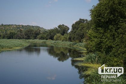 В каких водоемах Кривого Рога превышены нормы кишечной палочки