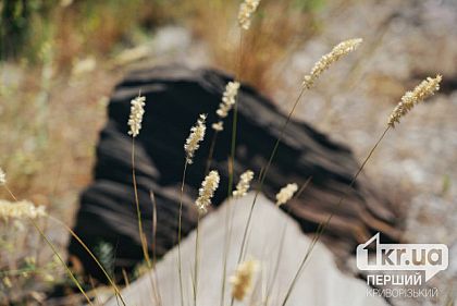 Прогноз погоды на 30 июля в Кривом Роге