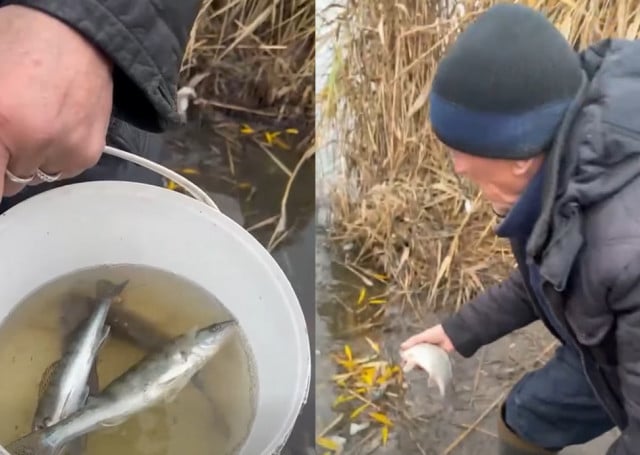 В Днепропетровской области разоблачили рыбаков с запрещенными тройными крючками