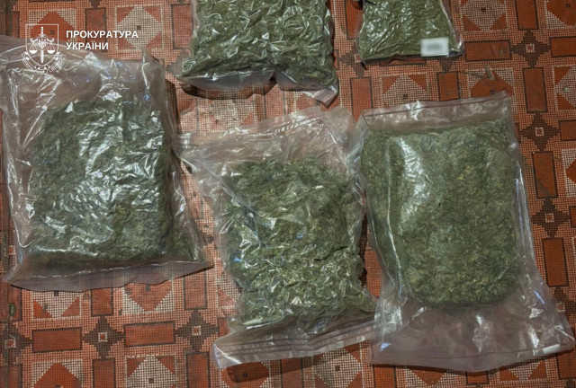 Более 8 килограммов каннабиса дома: какое наказание грозит жителю Днепропетровщины