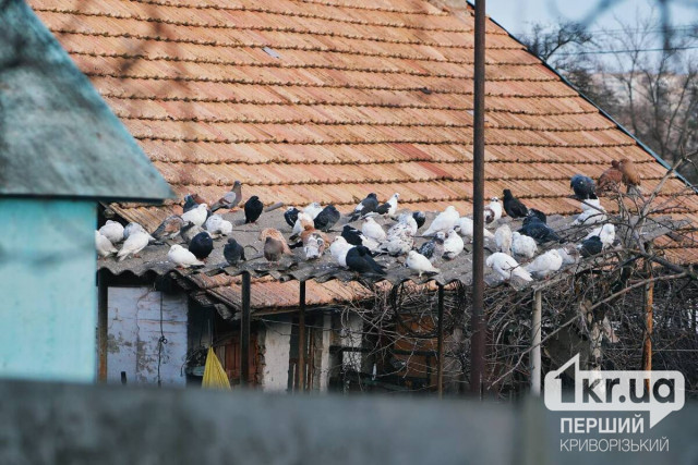 Яку погоду очікувати криворіжцям 13 грудня