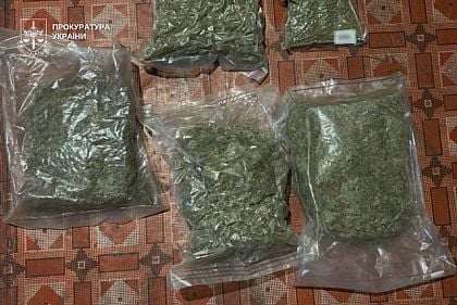 Более 8 килограммов каннабиса дома: какое наказание грозит жителю Днепропетровщины