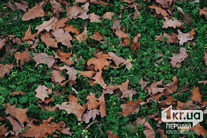 Понижение температуры: погода в Кривом Роге 5 декабря