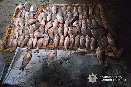 Рибалки з Дніпропетровщини незаконно наловили карасів на 150 тисяч гривень збитків