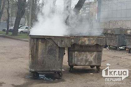 У Кривому Розі загорілося сміття у контейнері: що відомо
