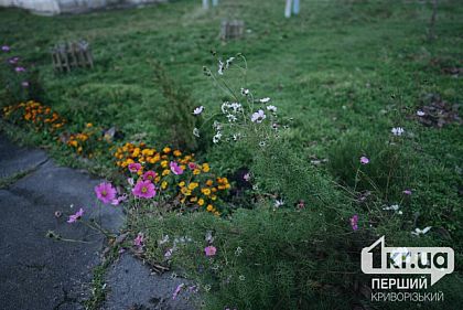 Яку погоду очікувати криворіжцям 8 грудня