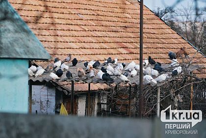 Какую погоду ждать криворожанам 13 грудня