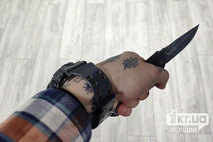 В Кривом Роге женщина получила 7 лет тюрьмы за убийство отца