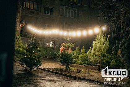 Мешканці Криворіжжя можуть економити електроенергію — яким чином