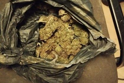 В Днепропетровской области разоблачили мужчину с большим запасом каннабиса