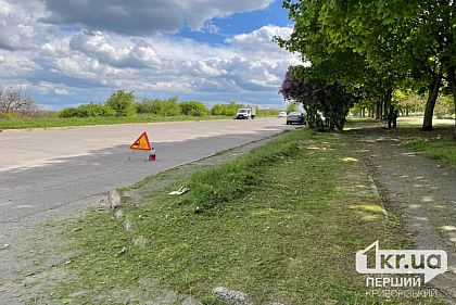 Криворожанка створила петицію щодо зміни підходу до скошування трави