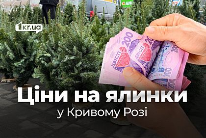 Сколько стоят новогодние деревья в Кривом Роге в 2025 году