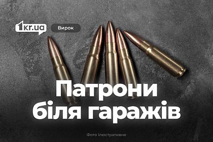 Криворіжець отримав строк за зберігання знайдених патронів