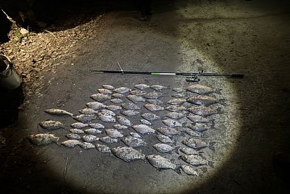 У Дніпропетровській області викрили порушника, який рибалив вудкою з потрійним гачком