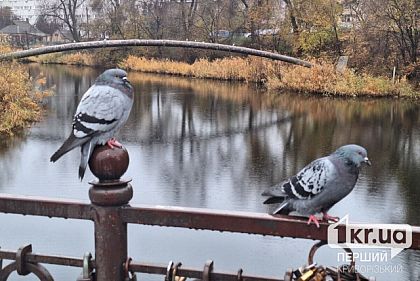 Какую погоду ждать криворожанам 21 грудня