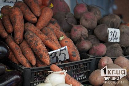 Днепропетровская область среди лидеров падения агропродукции — Госстат